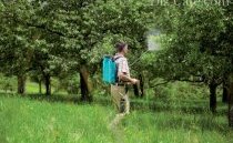 Ранцевые модели садовых опрыскивателей Ранцевые модели садовых опрыскивателей