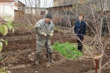 Культиватор Торнадо Отзывы