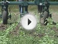 cultivator Культиватор пропашной КРН 5,6 Апостоловагромаш