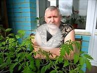 Моя электрогазонокосилка