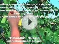 Опрыскиватель для садов и виноградников SLV 2 CR