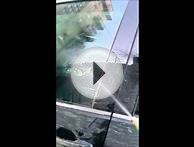 Помповый опрыскиватель