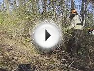 Триммер бензиновый Stihl FS 250 41342224 - низкая цена