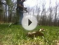 Триммер электрический Stihl FSE 81 - низкая цена, отзывы